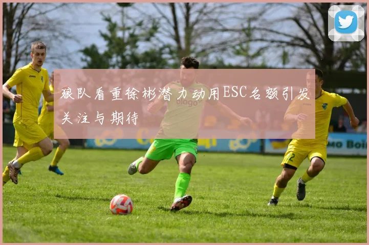 狼队看重徐彬潜力动用ESC名额引发关注与期待